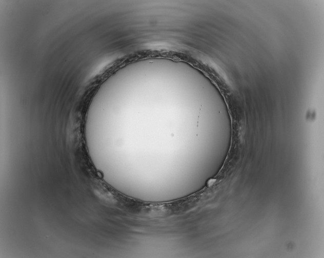 X0000102040968200808011506