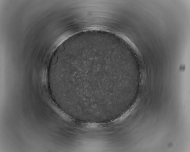 X0000102040969200808011506