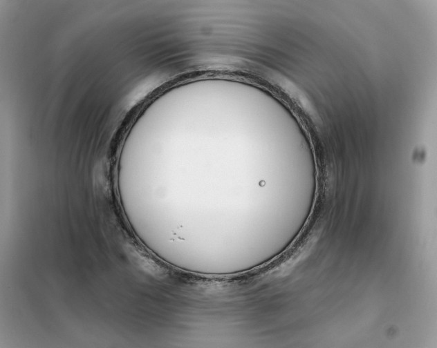 X0000102040970200808011506