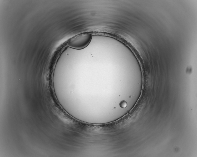 X0000102040971200808011506