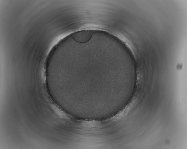 X0000102040973200808011506