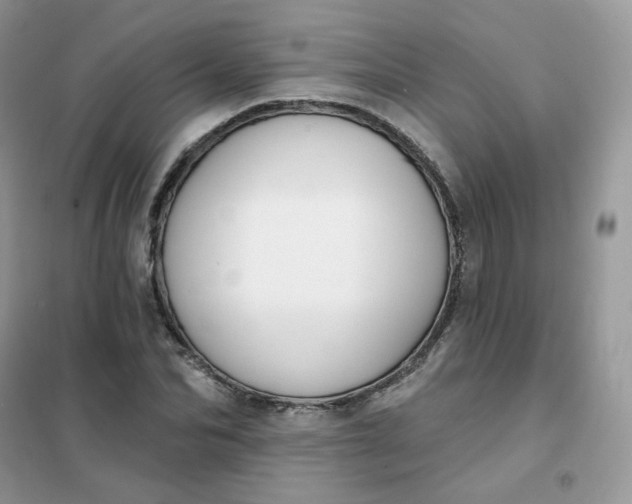 X0000102040974200808011506