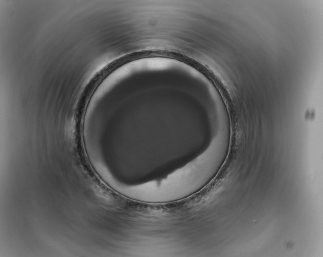 X0000102040975200808011506