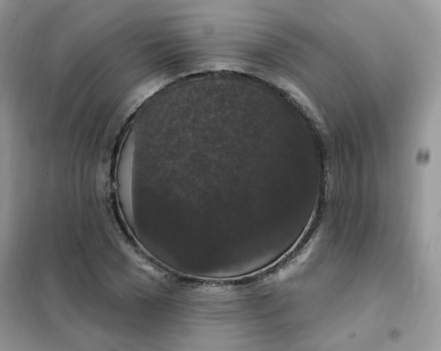 X0000102040977200808011506