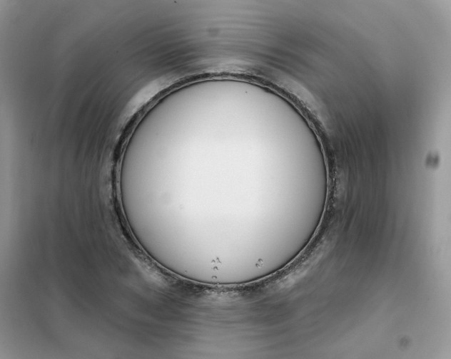 X0000102040978200808011506