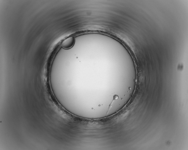 X0000102040979200808011506