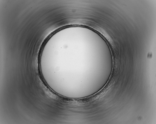 X0000102040980200808011506