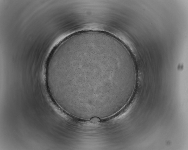 X0000102040981200808011506