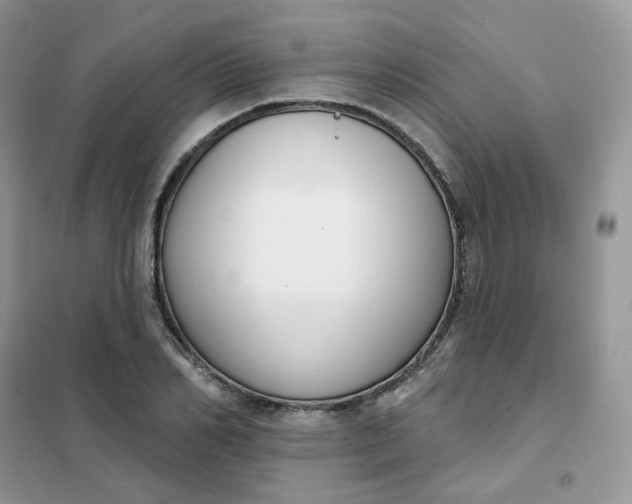 X0000102040982200808011506