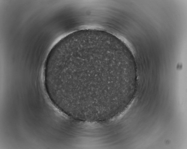 X0000102040983200808011506