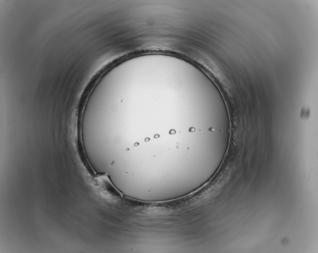 X0000102040984200808011506