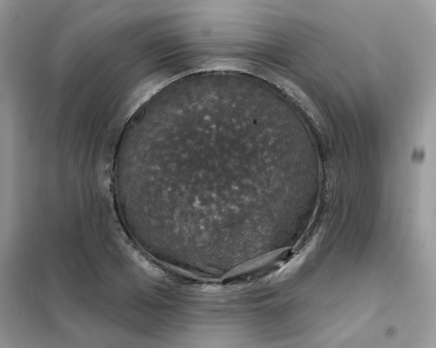 X0000102040985200808011506