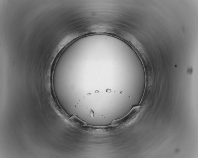 X0000102040986200808011506