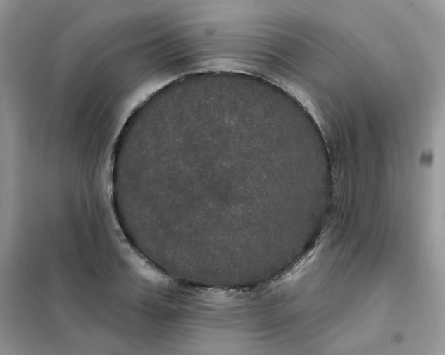 X0000102040987200808011506