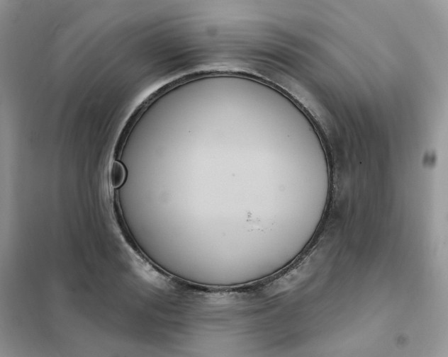 X0000102040988200808011506