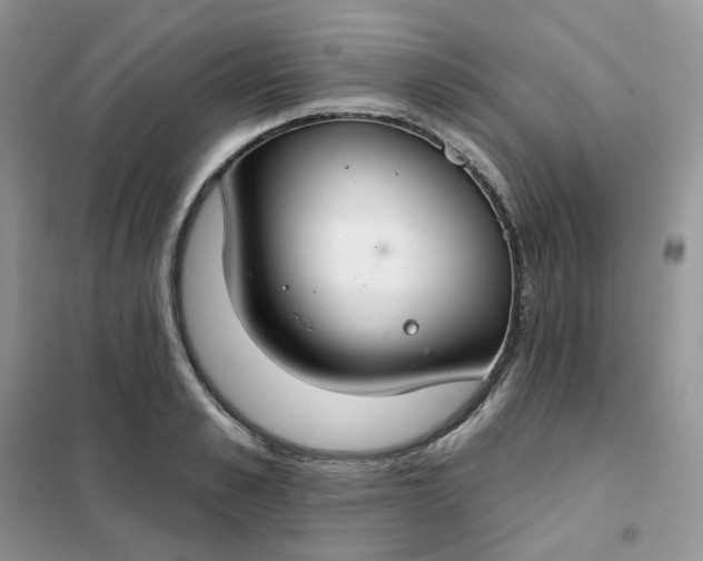 X0000102040989200808011506