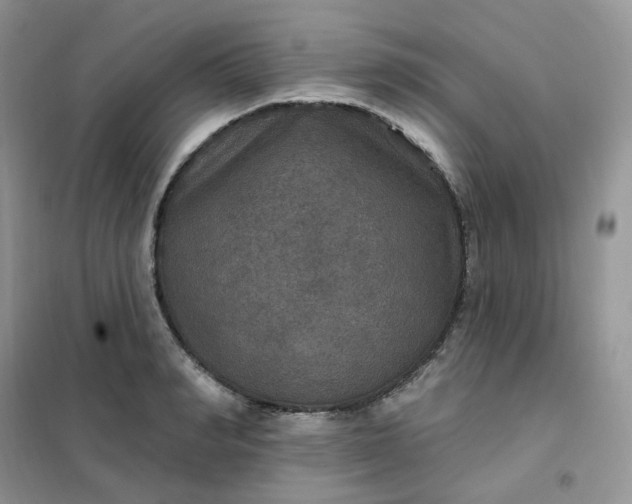 X0000102040990200808011506