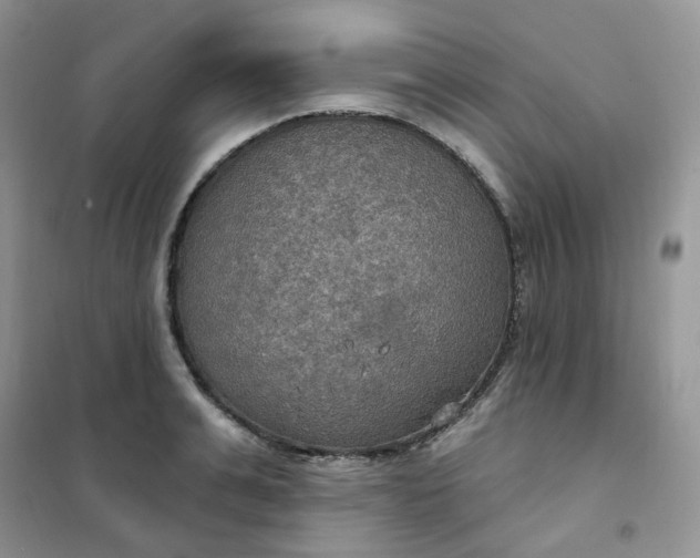 X0000102040991200808011506