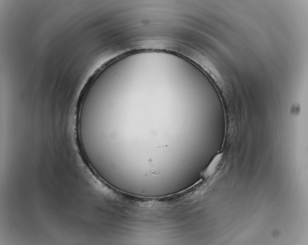 X0000102040992200808011506