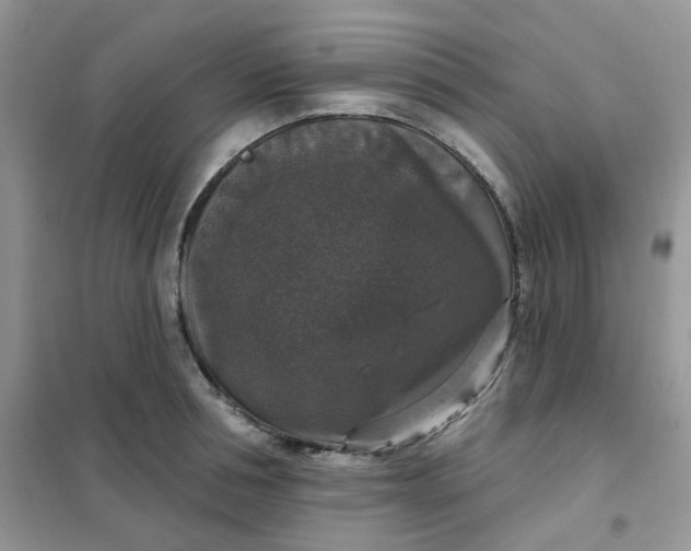 X0000102040994200808011506