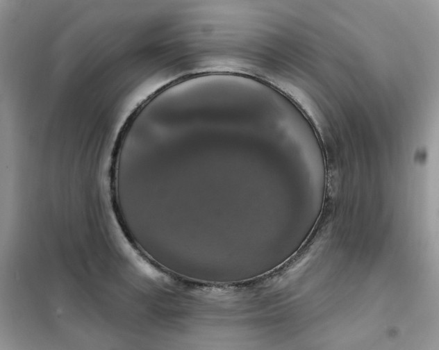 X0000102040995200808011506