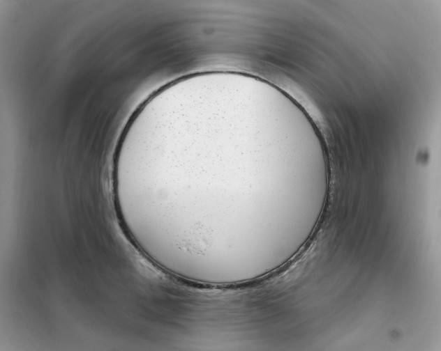 X0000102040996200808011506