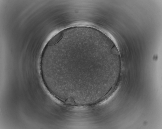 X0000102040997200808011506