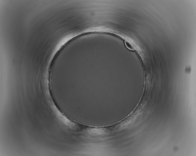 X0000102040998200808011506