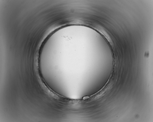 X0000102041000200808011506