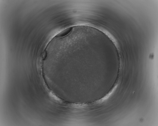 X0000102041001200808011506