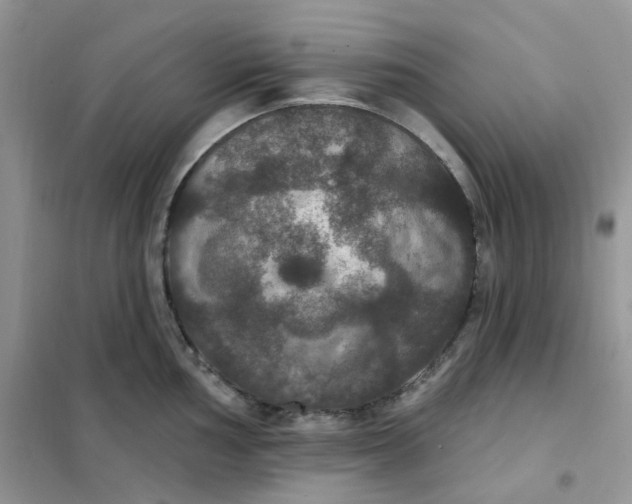 X0000102041002200808011506