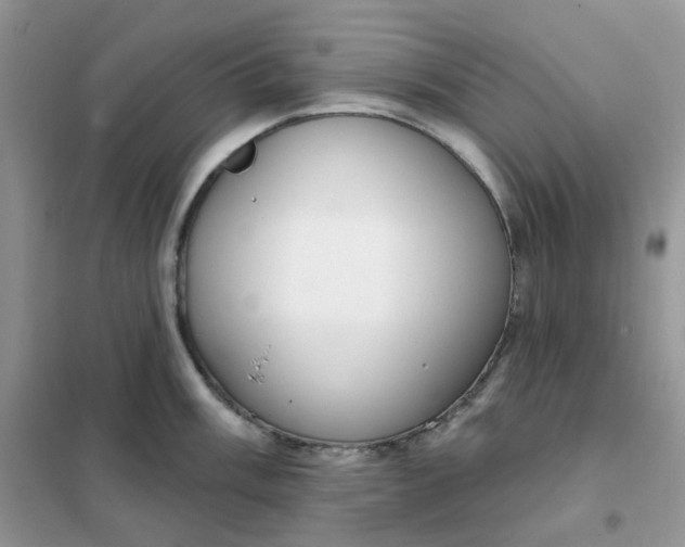 X0000102041003200808011506