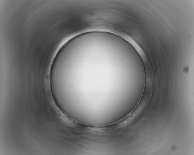 X0000102041004200808011506