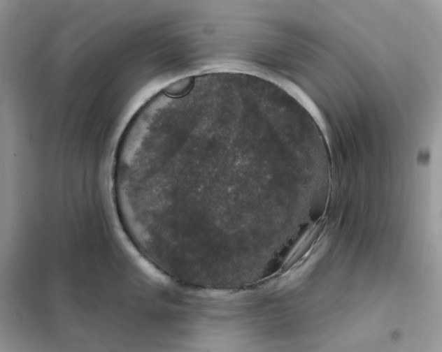 X0000102041005200808011506