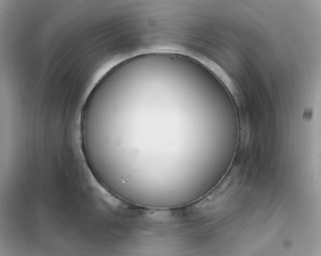 X0000102041006200808011506