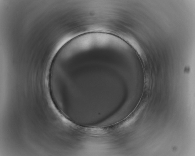 X0000102041007200808011506