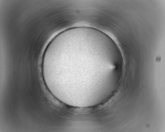 X0000102041008200808011506