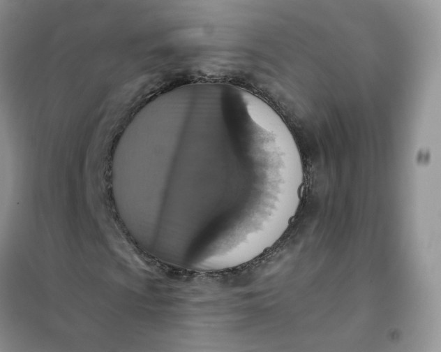 X0000102041009200808011505