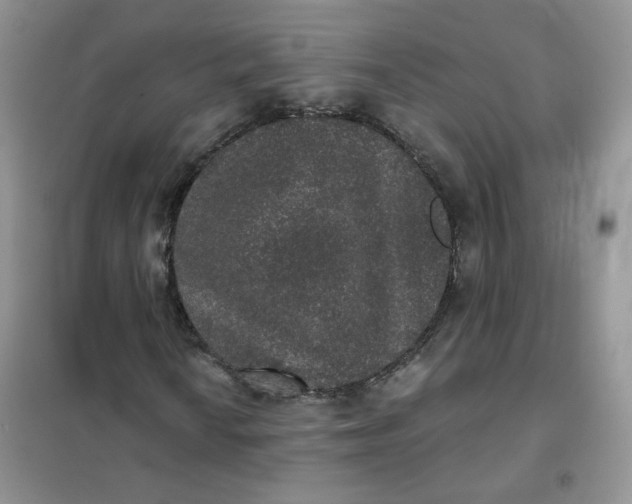 X0000102041010200808011505