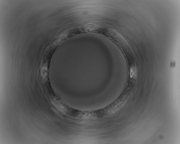 X0000102041011200808011505