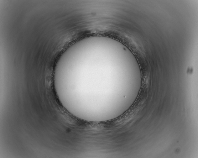 X0000102041012200808011505