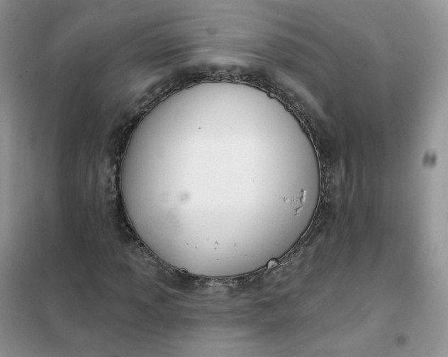 X0000102041013200808011505