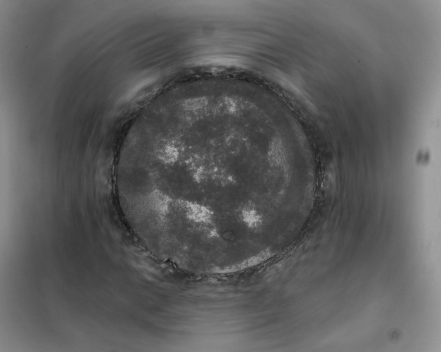 X0000102041014200808011505