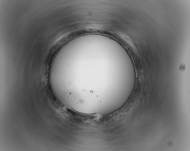 X0000102041015200808011505