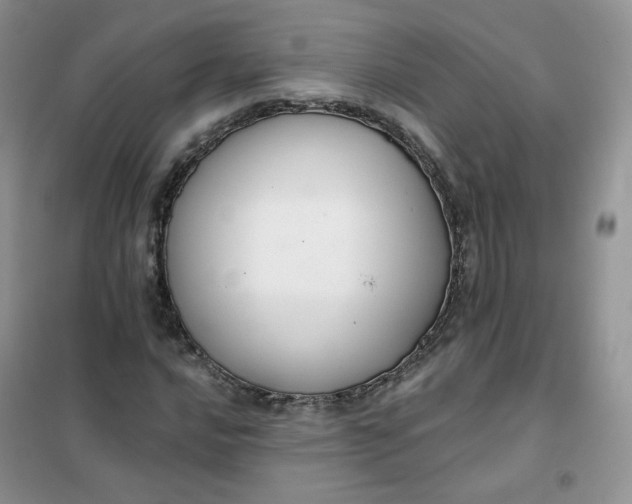 X0000102041016200808011505