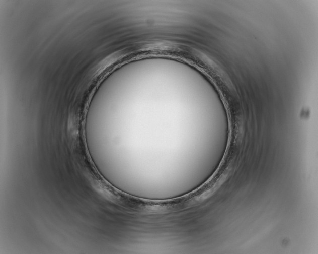 X0000102041017200808011505