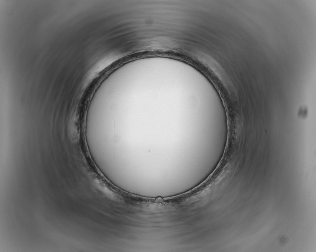 X0000102041018200808011505