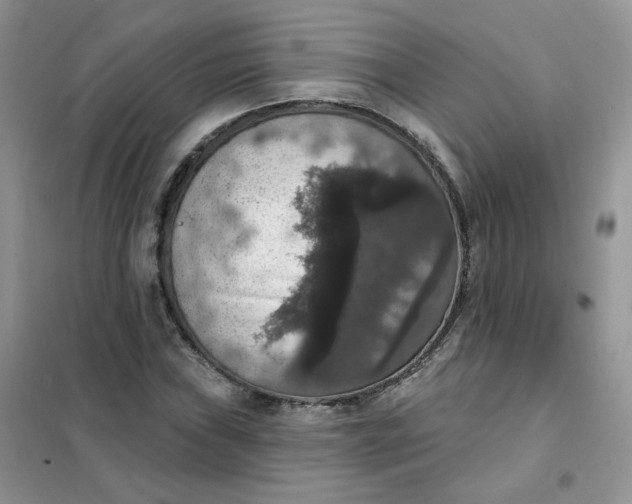 X0000102041019200808011505