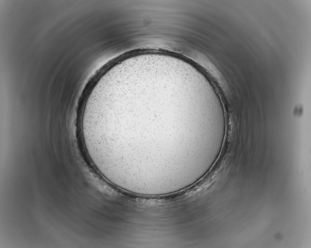 X0000102041020200808011505