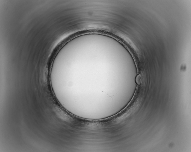 X0000102041021200808011505